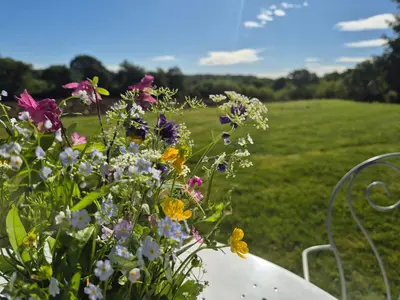 Jardin de l'établissement Maison d'Hôtes Léchémia