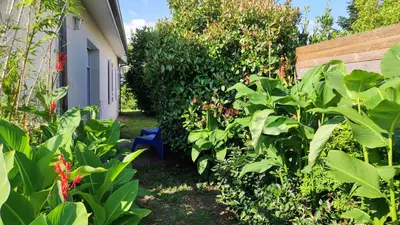 Jardin de l'établissement Maison Bassin d'Arcachon