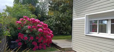 Jardin de l'établissement Nid d'Arguin