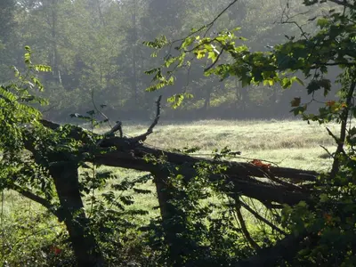 Paysage naturel près de la maison de vacances