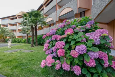 Jardin de l'établissement LES TERRASSES DE BORDA***