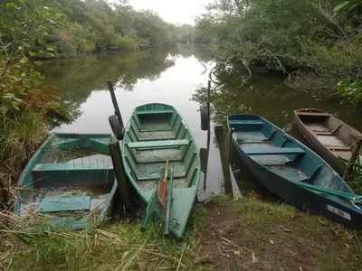 Vue sur la rivière ou le fleuve situé(e) à proximité de l'appartement
