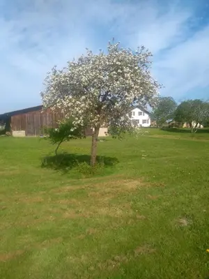 Paysage naturel près de le B&B/chambre d'hôtes