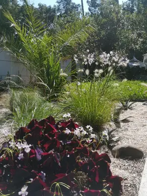 Jardin de l'établissement LES CHAMBRES DU HOURON
