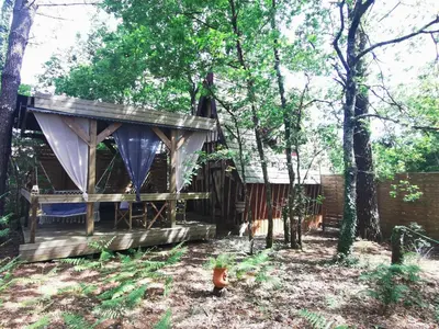 Jardin de l'établissement Cabane Spa 40