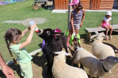 Animaux dans le B&B/chambre d'hôtes ou à proximité