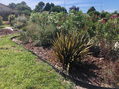 Jardin de l'établissement Les logis d'argent Studio indépendant Parking Entrée autonome Linge de Lit et Serviettes Wifi fibre TV connectée