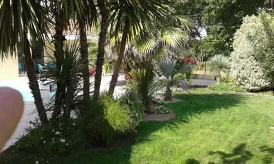 Jardin de l'établissement Gite T2 Tarnos avec piscine