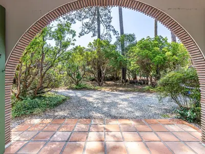 Jardin de l'établissement Maison 3 chambres à Biscarrosse, jardin, 6 pers. - FR-1-521-53