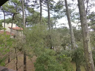 Paysage naturel près de l'appartement