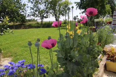 Jardin de l'établissement LE Gîte DE LA GRANGE DE BROUSTIC