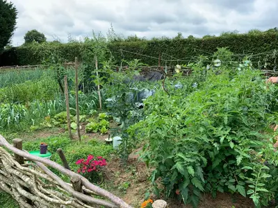 Jardin de l'établissement L'Intemporelle