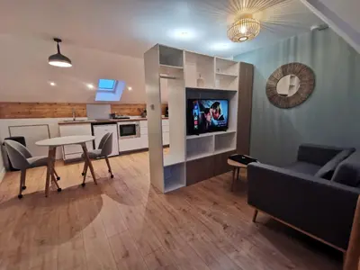 Cuisine ou kitchenette dans l'établissement Les appartements du centre, refaits à neuf, climatisés, hyper centre, 50m à pieds des commerces, restaurants, parking gratuit