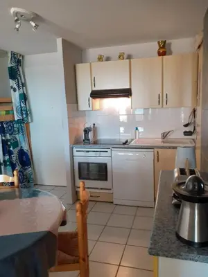 Cuisine ou kitchenette dans l'établissement Les Goélands de l'Océan
