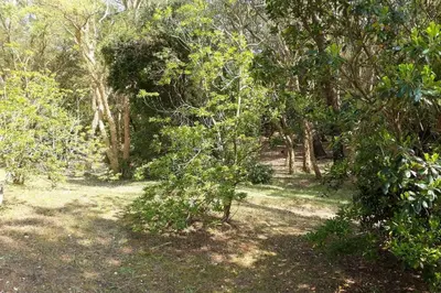 Jardin de l'établissement Appt Seignosse le Penon - plages commerces à pied