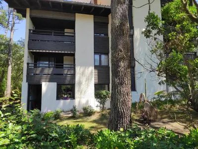 Jardin de l'établissement Appt Seignosse le Penon - plages commerces à pied