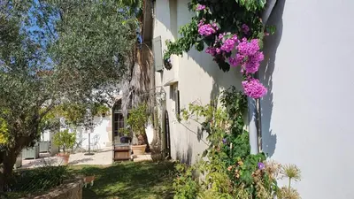 Jardin de l'établissement La Bastide de Guiche Entre Océan et montagnes