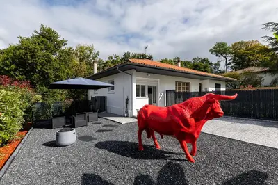 Animaux dans l'appartement ou à proximité