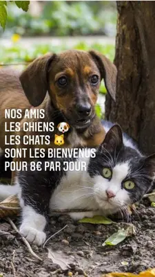 Animal ou animaux domestique(s) séjournant avec des clients dans l'établissement Soustons plage Maison terrasse 2 pers Les villas du lac Tennis mini golf