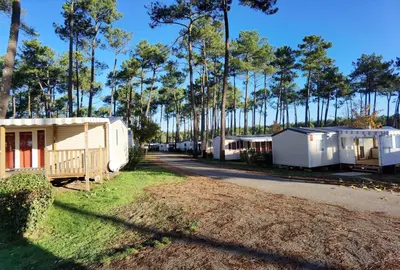 Plan de l'établissement Bungalow confortable à Saint-Julien-en-Born avec piscine partagée