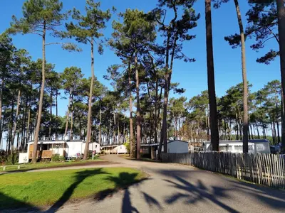 Plan de l'établissement Bungalow confortable à Saint-Julien-en-Born avec piscine partagée