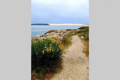 Paysage naturel près de l'appartement