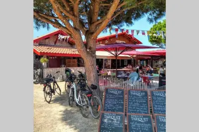 Vélo sur le terrain de l'établissement Colibri Appart' T2 au coeur du Bassin d'Arcachon ou dans les environs