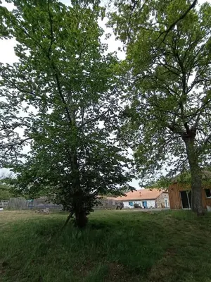 Jardin de l'établissement les chambres du pont des chèvres