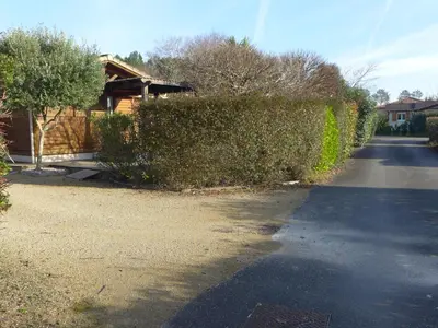 Plan de l'établissement Chalet Landais by Interhome