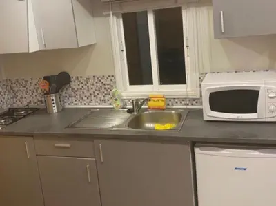 Cuisine ou kitchenette dans l'établissement Mobile Home Zen pour 4 à 6 pers camping 4* Saint Paul Les Dax