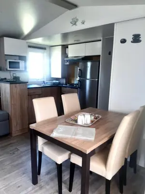 Cuisine ou kitchenette dans l'établissement Mobilhome Contis aux Camping des Dunes