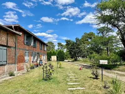 Jardin de l'établissement Maison Magnolia