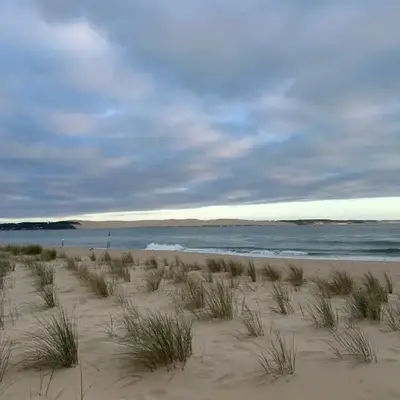 T1bis dans les dunes du Cap Ferret