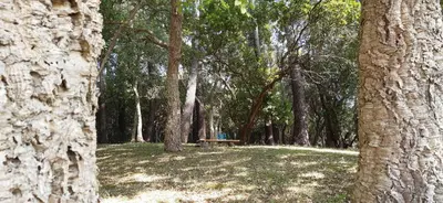 Paysage naturel près de la maison de vacances
