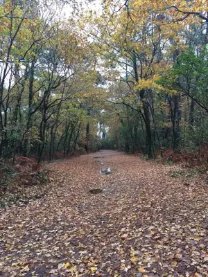 Paysage naturel près de le séjour chez l'habitant