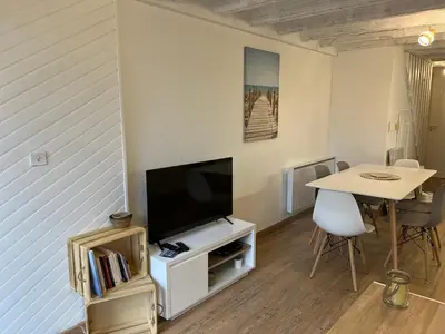 Télévision ou salle de divertissement dans l'établissement Maisonnette à 300 m du lac de Biscarrosse