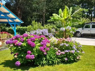 Jardin de l'établissement La Clairière du Seignanx