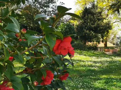 Jardin de l'établissement L'écrin des Gaves