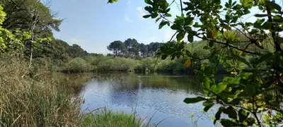 Paysage naturel près de l'appartement