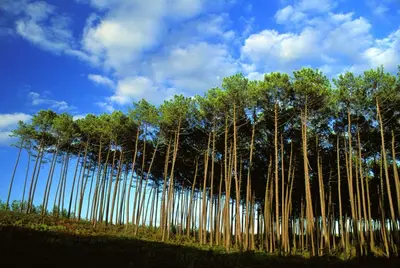 Paysage naturel près de l'appartement