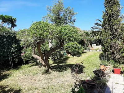 Jardin de l'établissement Grande maison familiale avec piscine et varangue à Tarnos, proche plages et commerces - FR-1-239-779