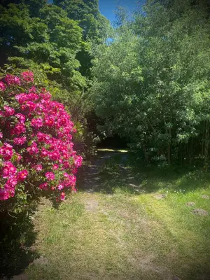 Jardin de l'établissement Studio à Linxe entre terre et océan
