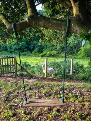 Jardin de l'établissement L'adret du bois