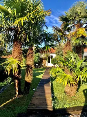 Jardin de l'établissement Agréable suite - Bassin Arcachon