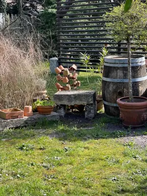 Jardin de l'établissement OSTAL 158