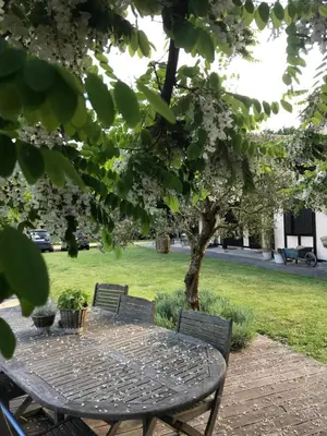 Jardin de l'établissement OSTAL 158