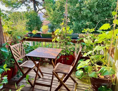 Jardin de l'établissement Nature & Sun, Natural lifestyle - Hossegor