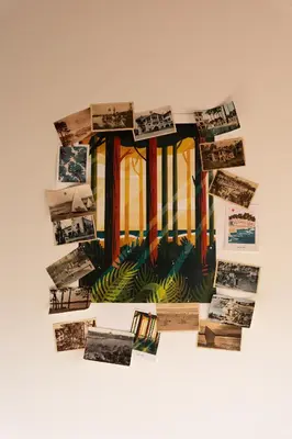 Bibliothèque dans l'appartement