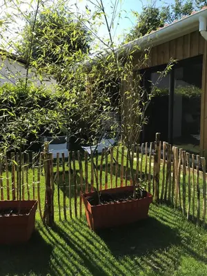 Jardin de l'établissement Charmante Cabane Bois