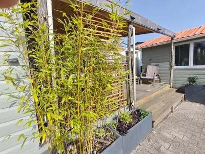 Jardin de l'établissement Maison 47m2 climatisé, piscine,linge fourni